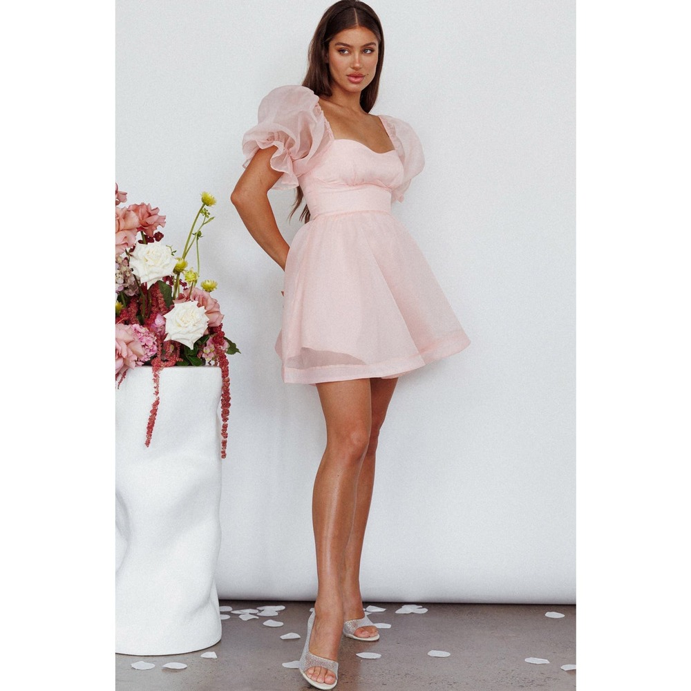 One And Only Pink Organza Babydoll Dress / S